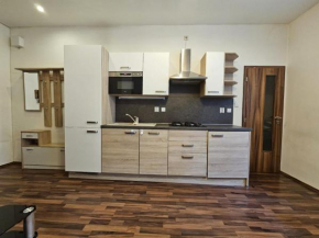 Cozy Homestay at Andel Prague
